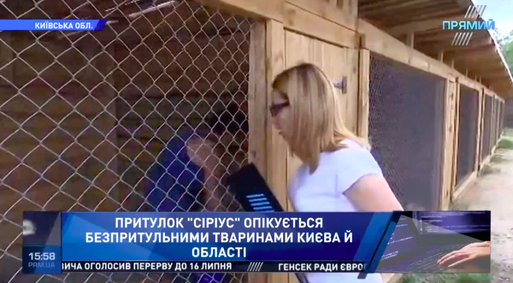 Погрози та напади на притулок “Сіріус: “Прямий” дізнався в яких умовах перебувають тварини